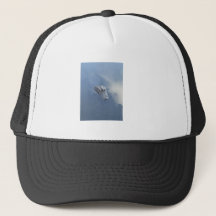 Casquette de camionneur Gator