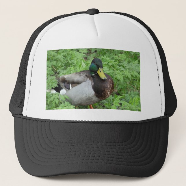 Casquette de canard de Mallard (Devant)