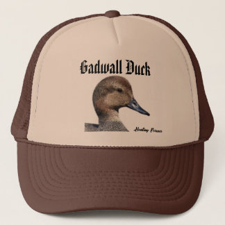 Casquette de canard Gadwall