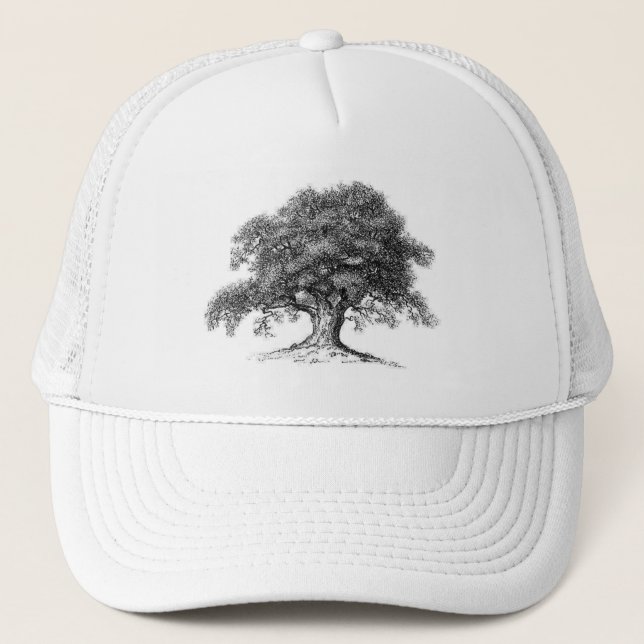 Casquette de chêne (Devant)