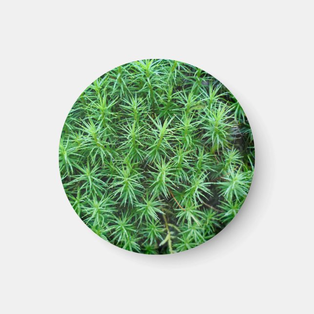 Casquette de cheveux Juniper Magnet (Devant)
