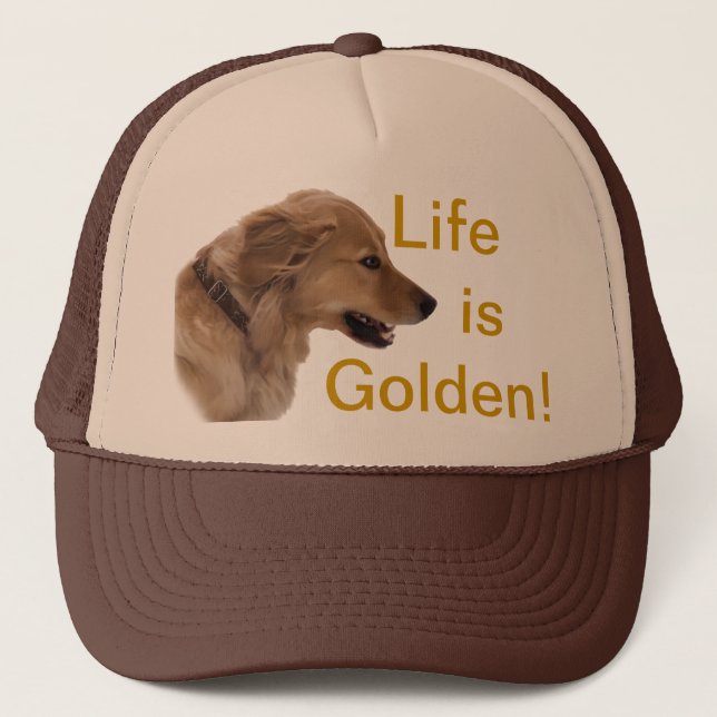 Casquette de chien de golden retriever (Devant)