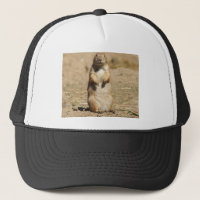 Casquette de chien de prairie