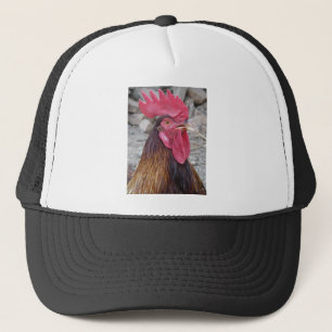 Casquette de coq