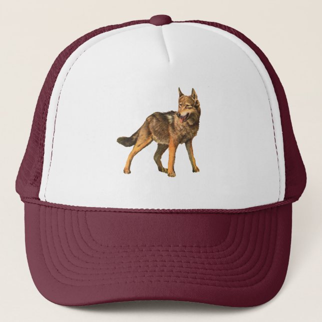 casquette de coyote (Devant)