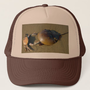 Casquette de crabes dansants