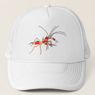 casquette de crevette d'ekos
