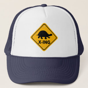 Casquette de croisement de tortue