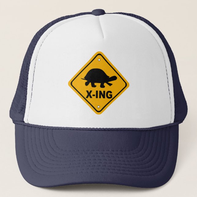 Casquette de croisement de tortue (Devant)