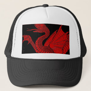 Casquette de dragon