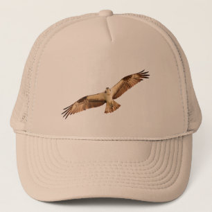 Casquette de faucon de balbuzard