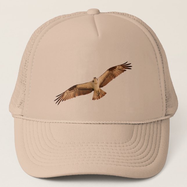 Casquette de faucon de balbuzard (Devant)
