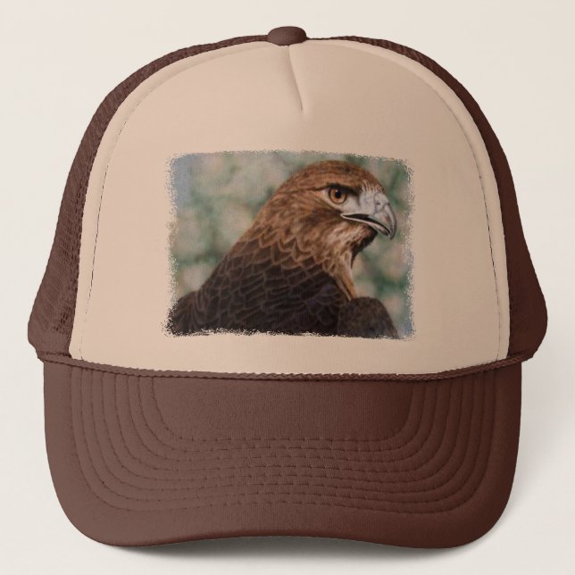 casquette de faucon de Rouge-queue (Devant)