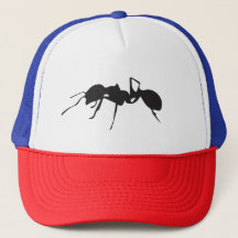 Casquette de fourmi de TSP