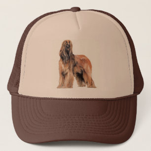 Casquette de Hound afghan