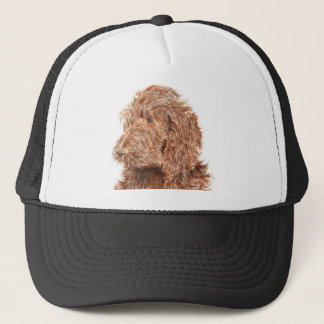 Casquette de Labradoodle #2 de chocolat