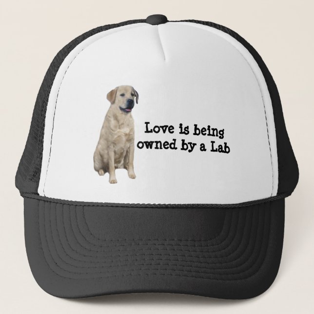 Casquette de labrador retriever (Devant)