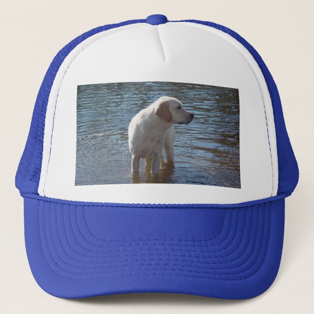 Casquette de labrador retriever au lac (Devant)