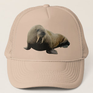 Casquette de morse