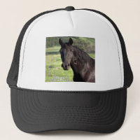 Casquette de Noir-Étalon