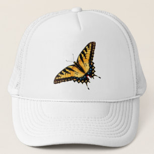 Casquette de papillon de machaon