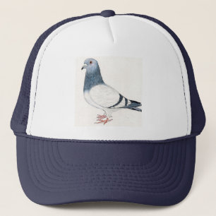 Casquette de pigeon