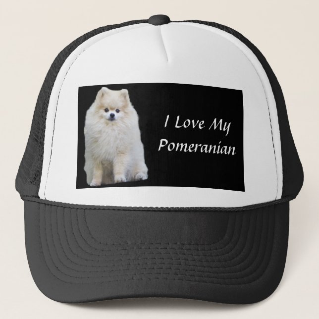 Casquette de Pomeranian (Devant)