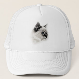 casquette de ragdoll