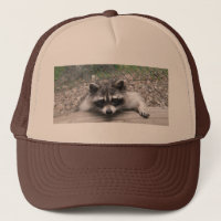 Casquette de ragondin, casquette de boule de