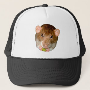 Casquette de rats affamés