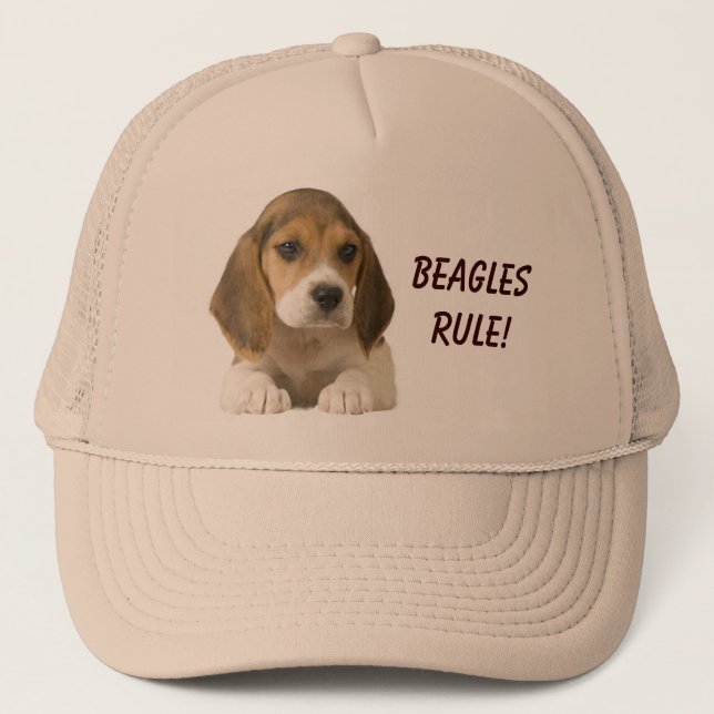 Casquette de règle de beagles (Devant)