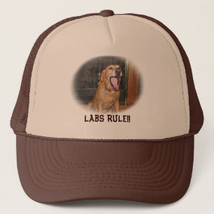 Casquette de règle de laboratoires