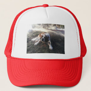 casquette de St Bernard