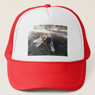casquette de St Bernard