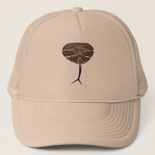 Casquette de tête de serpent de hochet