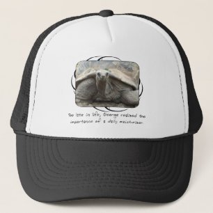 Casquette de tortue de Galapagos