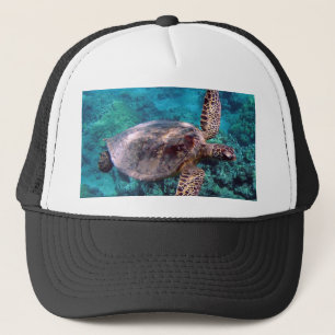 Casquette de tortue d'Hawaï Honu