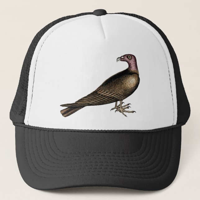 Casquette de vautour de Turquie (Devant)