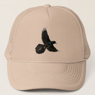 Casquette de vol d'oiseau de corneille de Raven