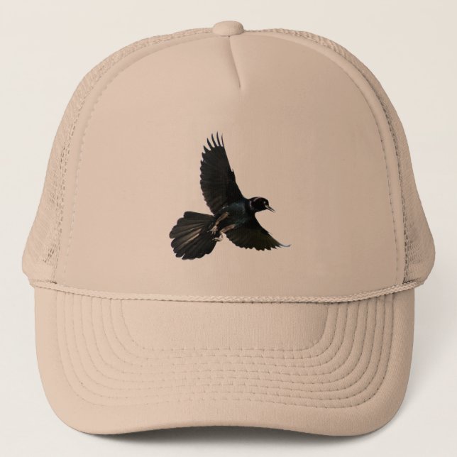 Casquette de vol d'oiseau de corneille de Raven (Devant)