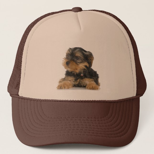 Casquette de Yorkshire Terrier (Devant)