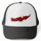 Casquette d'Eagle chauve