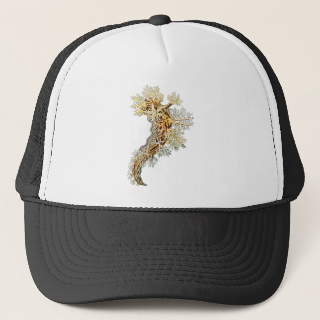 Casquette Dendronotus (Devant)