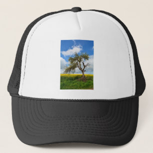 Casquette Der alte Baum