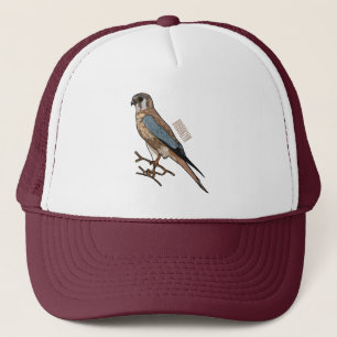 Casquette dessin animé d'oiseau-kestrel américain