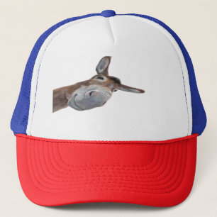 Casquette dessin humoristique âne