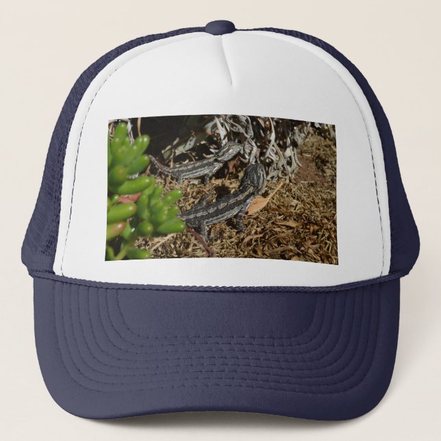 Casquette Deux Lizards De Dragon À Porte Australienne,   (Devant)