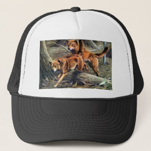 Casquette Dingo australien