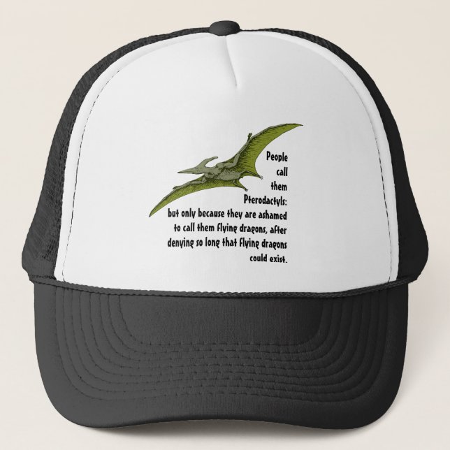 Casquette Dinosaure de dragon de ptérodactyle d'amusement (Devant)