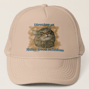 Casquette Directeur des relations du Maine Coon